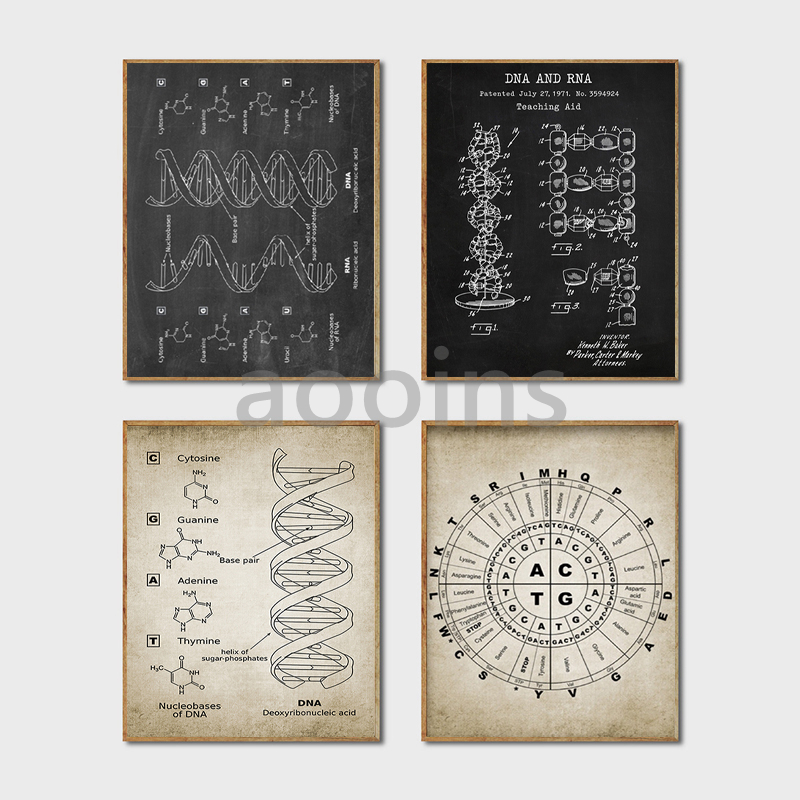 ДНК Патент Настенное Искусство – обзор и цена Star Map Poster
